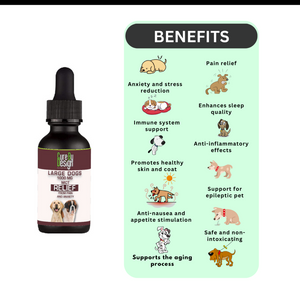 Cure By Design 1000mg CBD MCT Relief Oil for Large Dogs