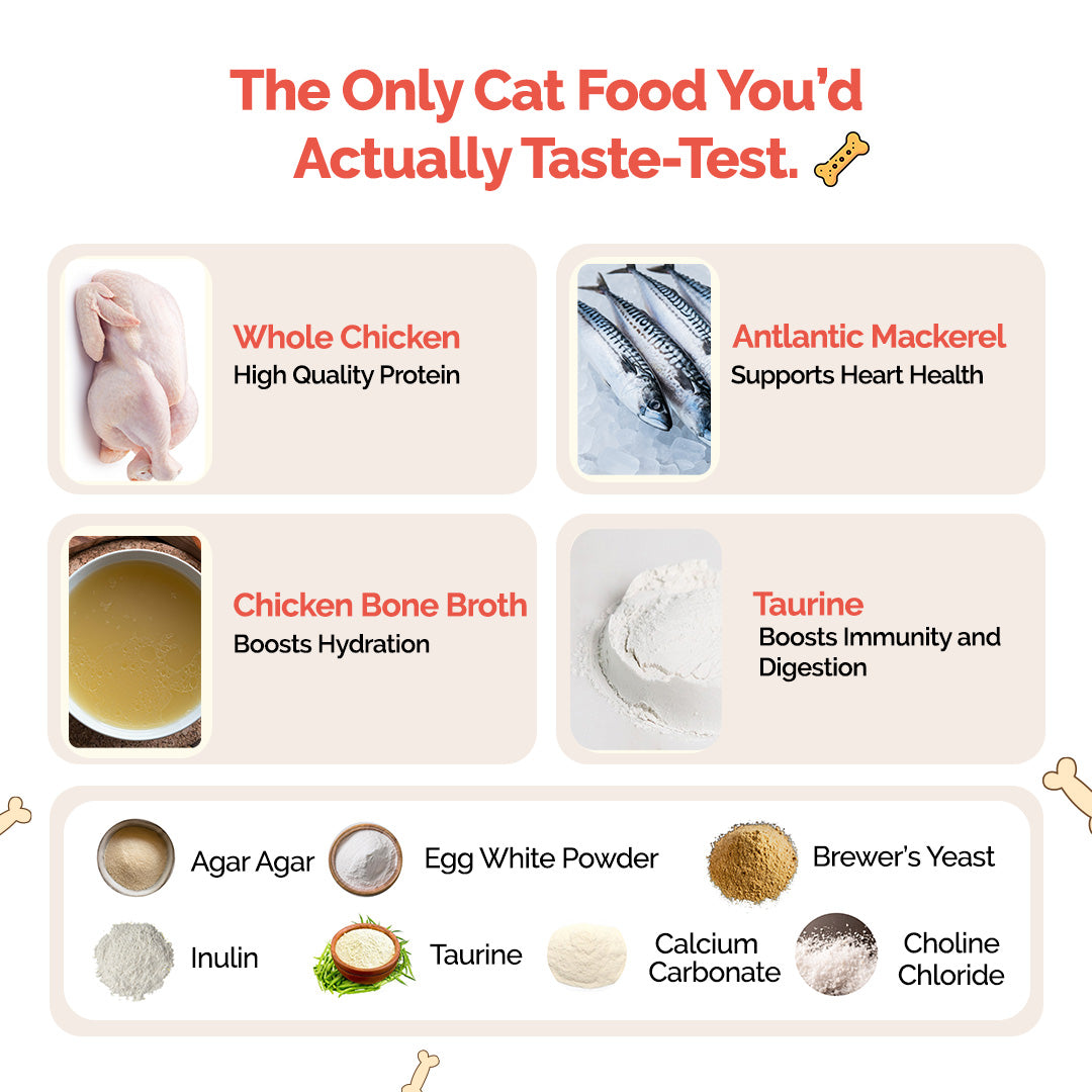 Goofy Tails Mackerel & Chicken Cat Wet Food Cats-Wet Food Goofy Tails