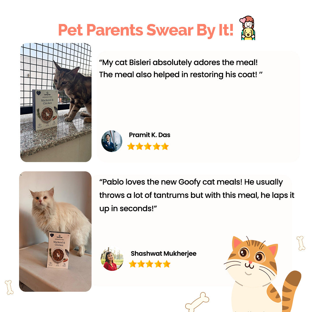 Goofy Tails Mackerel & Chicken Cat Wet Food Cats-Wet Food Goofy Tails