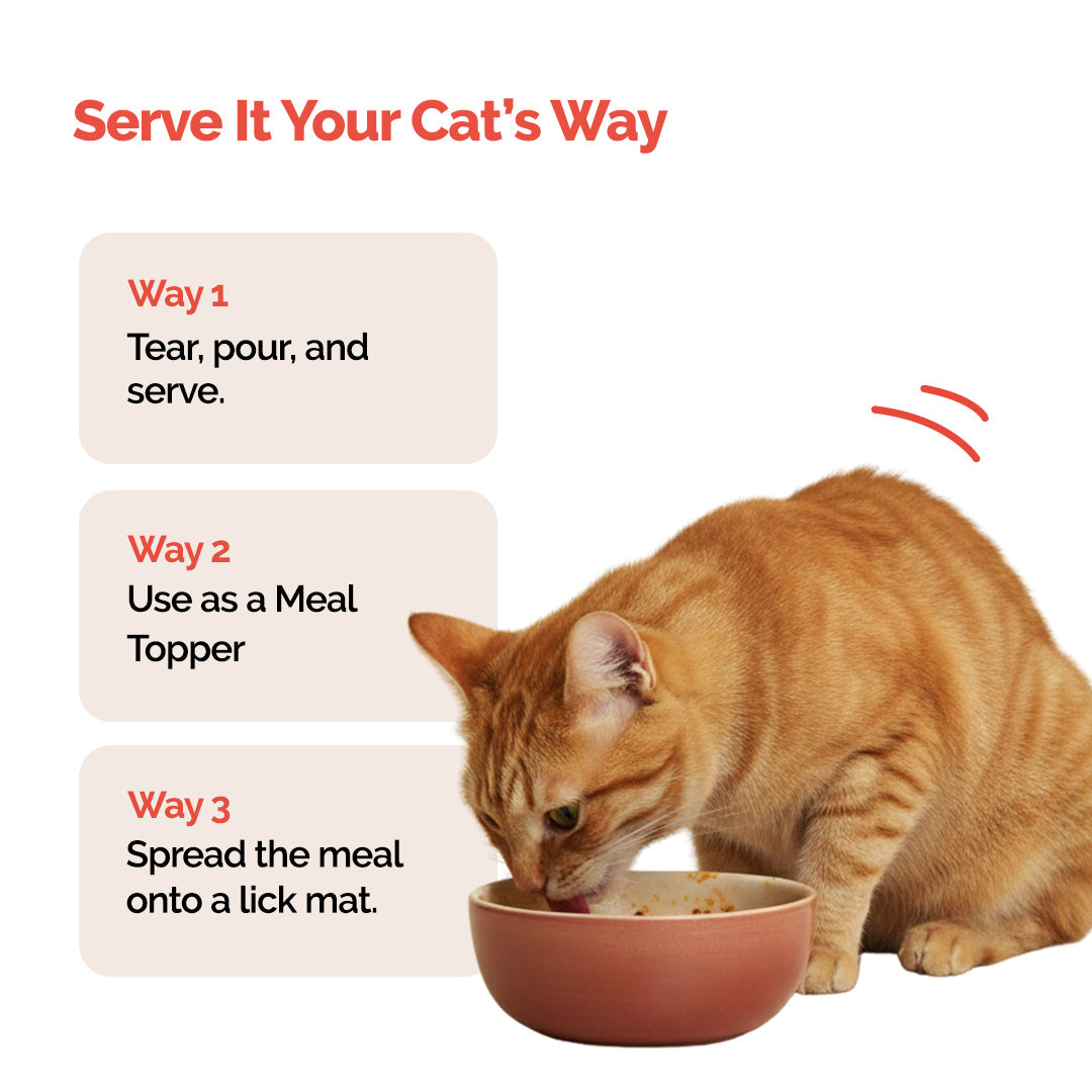 Goofy Tails Himalayan Trout & Anchovies Cat Wet Food
