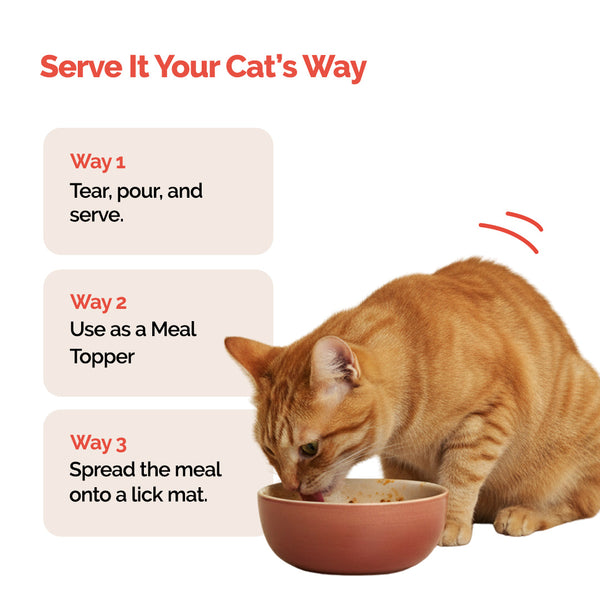 Goofy Tails Himalayan Trout & Anchovies Cat Wet Food