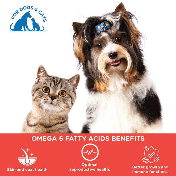 Pawsome Companion Furever Salmon Oil for Dogs & Cats 500ml