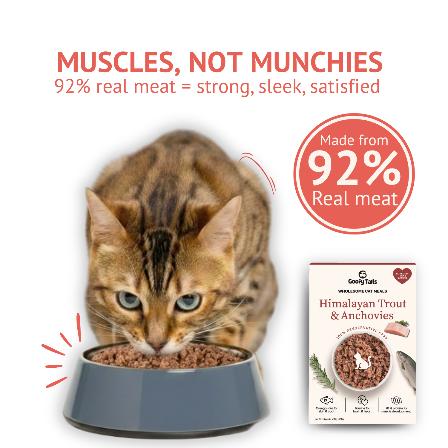 Goofy Tails Mackerel & Chicken and Himalayan Trout & Anchovies Meals and Chicken Bone Broth 375ml Combo for Cats Exclusive Combo Goofy Tails