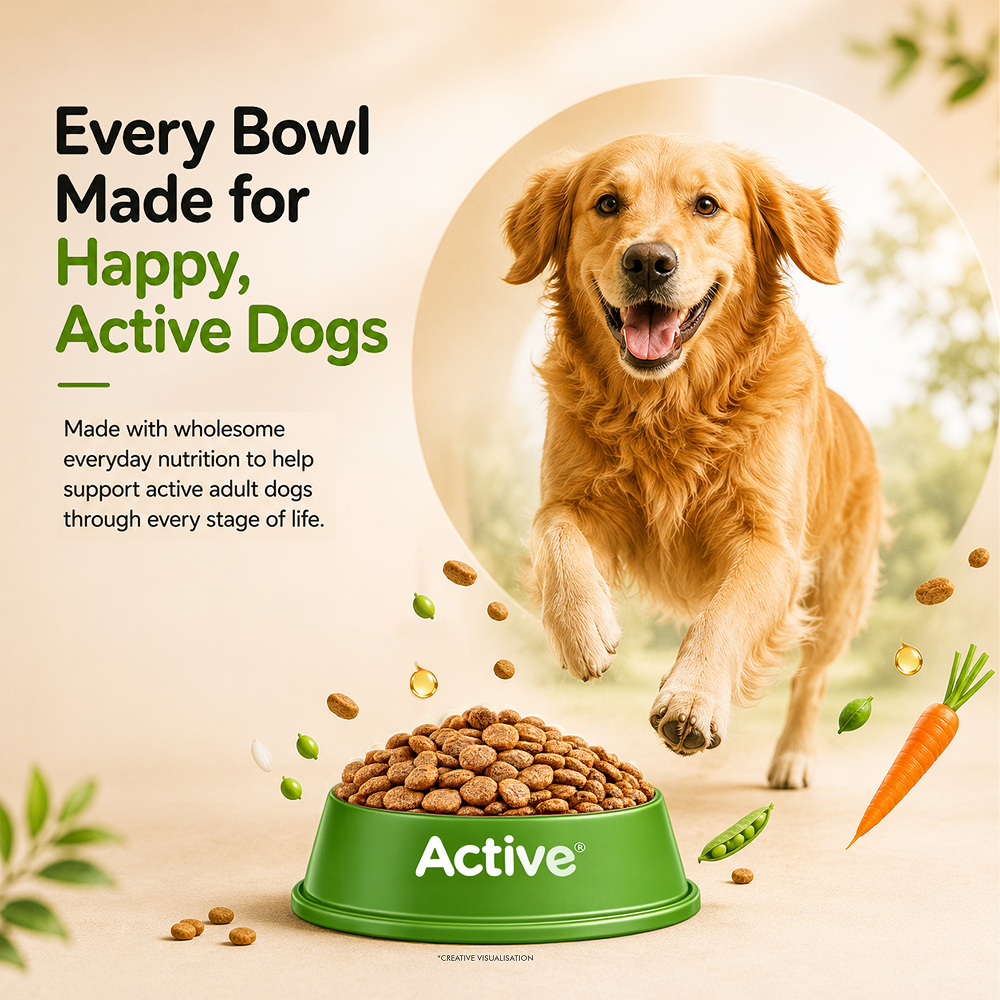 Active All Breed 100% Veg Dog Dry Food (Buy 1 Get 1) Dogs- Dry Food Active