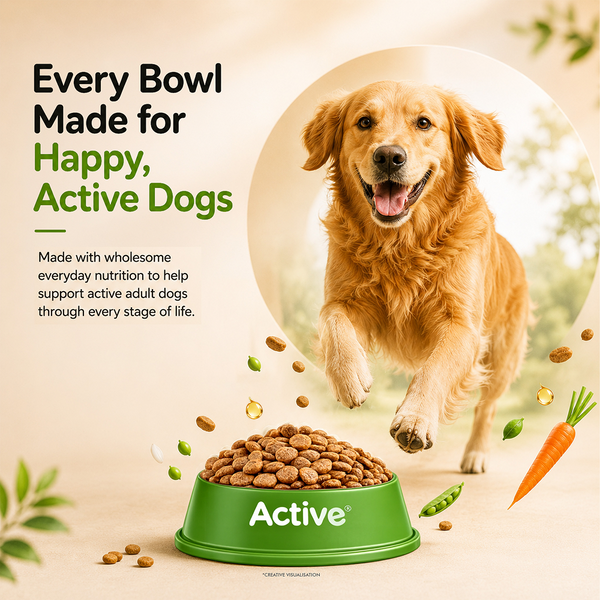 Active All Breed 100% Veg Dog Dry Food (Buy 1 Get 1)