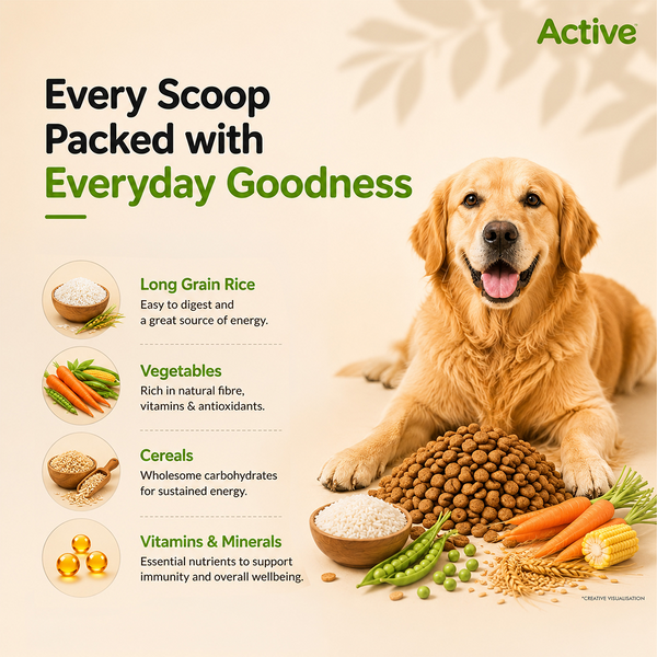 Active All Breed 100% Veg Dog Dry Food (Buy 1 Get 1)
