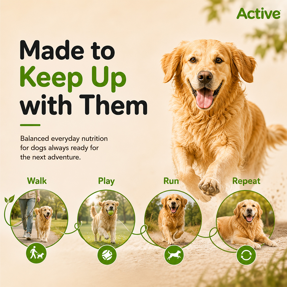 Active All Breed 100% Veg Dog Dry Food (Buy 1 Get 1) Dogs- Dry Food Active