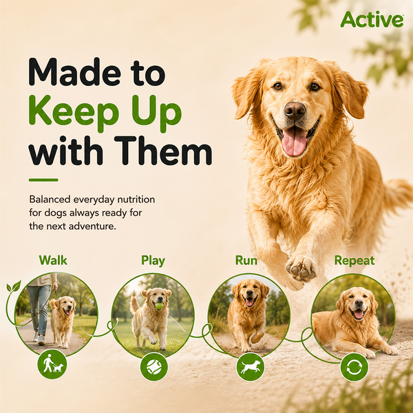 Active All Breed 100% Veg Dog Dry Food (Buy 1 Get 1)