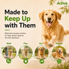 Active All Breed 100% Veg Dog Dry Food (Buy 1 Get 1) Dogs- Dry Food Active