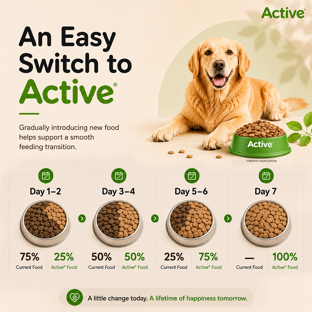 Active All Breed 100% Veg Dog Dry Food (Buy 1 Get 1) Dogs- Dry Food Active