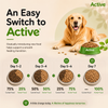 Active All Breed 100% Veg Dog Dry Food (Buy 1 Get 1) Dogs- Dry Food Active