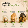 Active All Breed 100% Veg Dog Dry Food (Buy 1 Get 1) Dogs- Dry Food Active