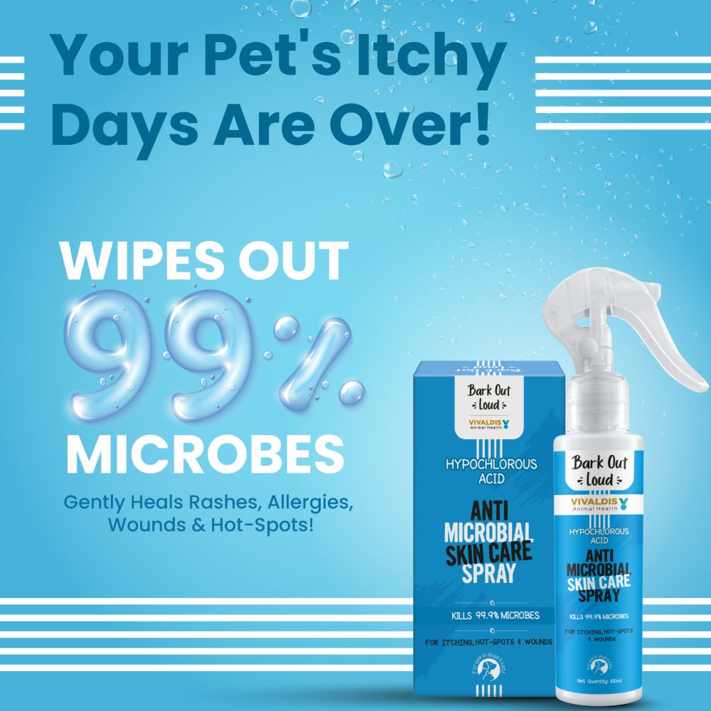 Bark Out Loud Anti Microbial Skin Spray for Dogs and Cats Both-Health & Wellness Bark Out Loud