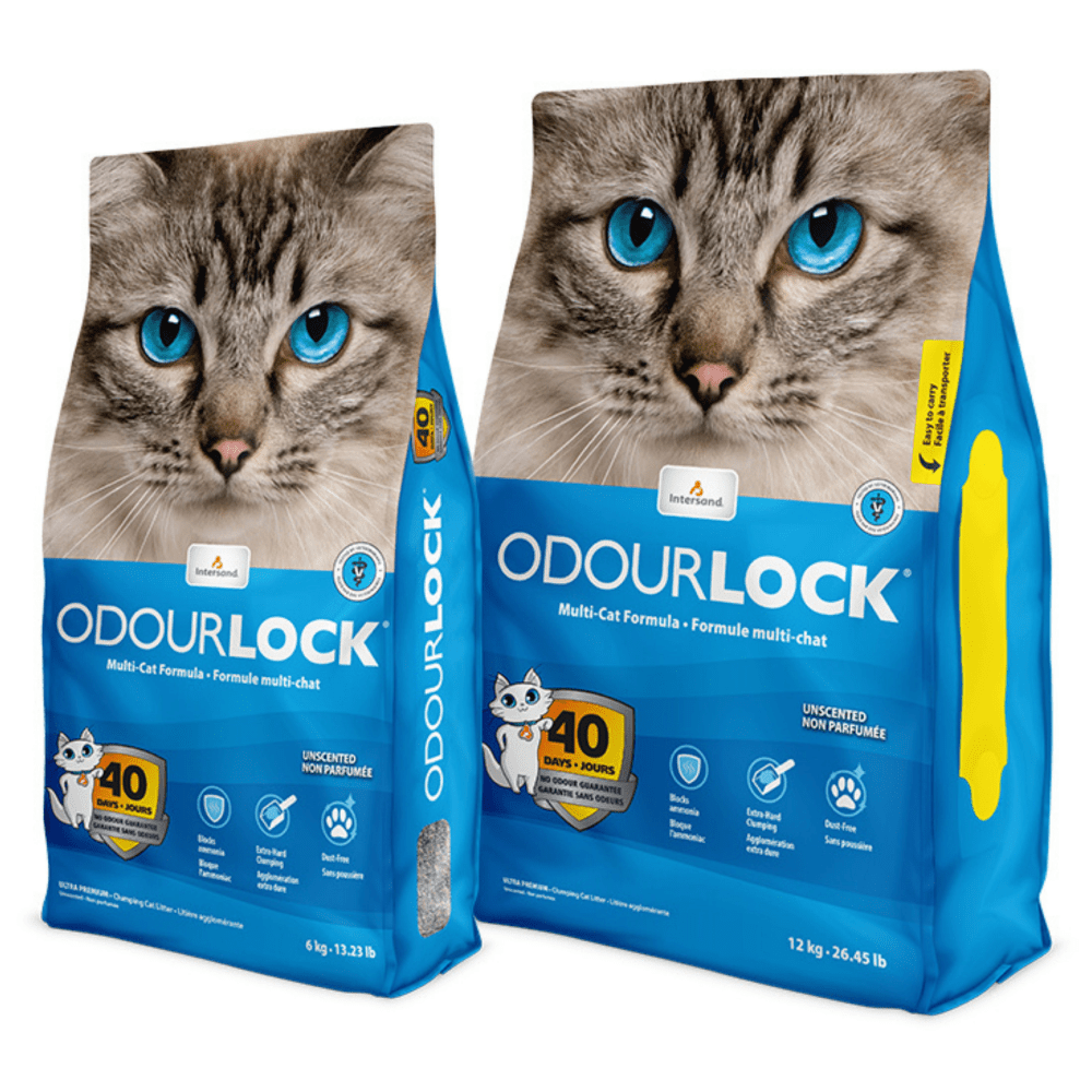 Intersand Unscented Odour Lock Cat Litter Cats-Litter Intersand 12+6kg
