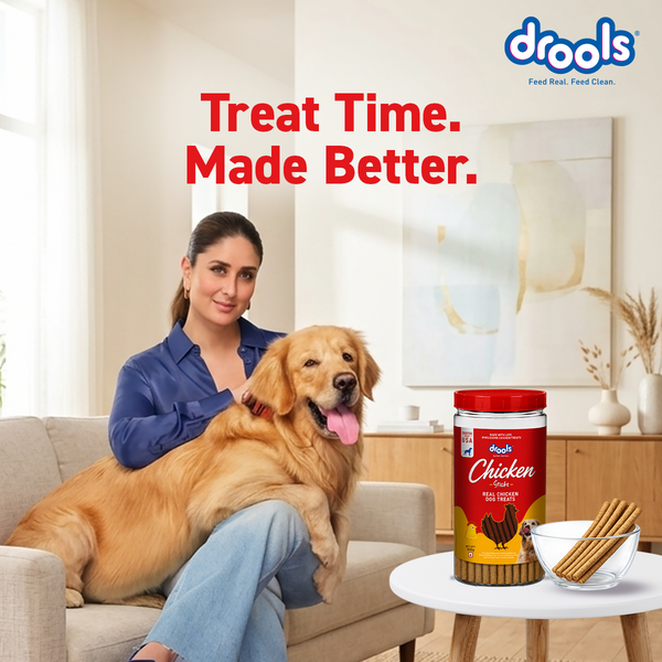 Drools Real Chicken Flavour Sticks Treat for Dogs