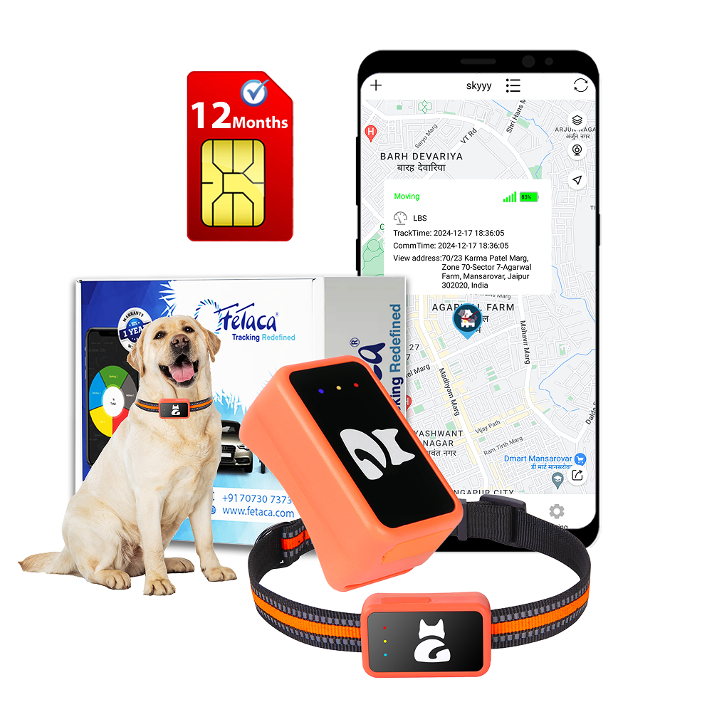 FeTaca Smart 4G GPS Tracker with Lifetime Free Tracking & 1 Year Data SIM Subscription for Dogs and Cats (Orange) Both-Collar, Leashes, harnesses FeTaca Dropship 4.4x2.5x2.3cm