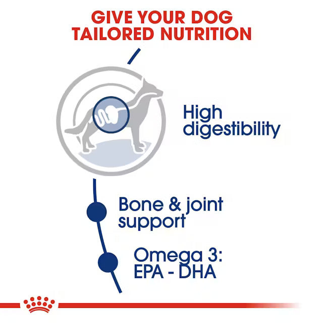 Royal Canin Maxi 5+ years of Age Dogs Dry Food Dogs- Dry Food Royal Canin