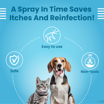 Bark Out Loud Anti Microbial Skin Spray for Dogs and Cats