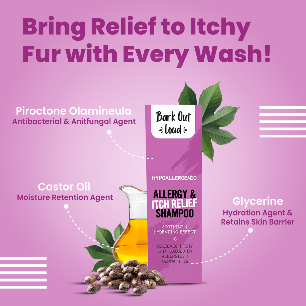 Bark Out Loud Allergy and Itch Relief Shampoo for Dogs and Cats Both-Grooming Supplies Bark Out Loud