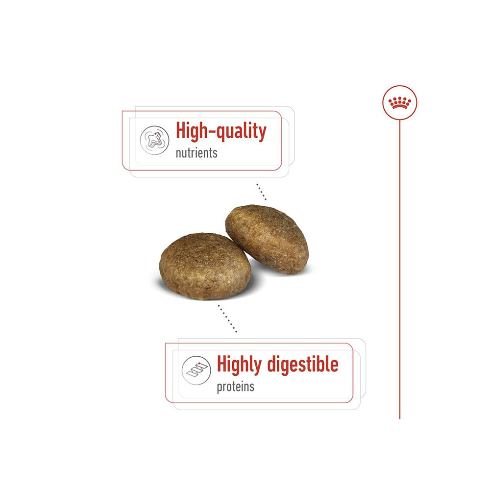 Royal Canin Maxi 5+ years of Age Dogs Dry Food Dogs- Dry Food Royal Canin