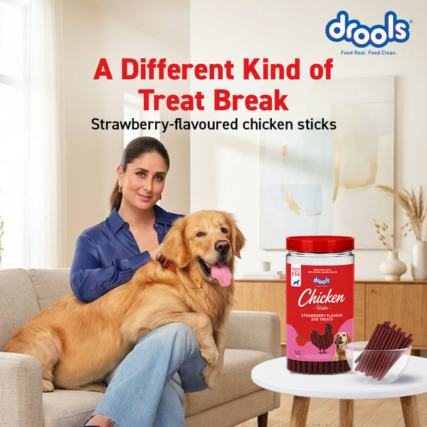 Drools Strawberry Flavour Chicken Sticks Treat for Dogs