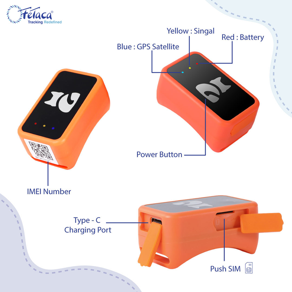 FeTaca Smart 4G GPS Tracker with Lifetime Free Tracking & 1 Year Data SIM Subscription for Dogs and Cats (Orange) Both-Collar, Leashes, harnesses FeTaca Dropship