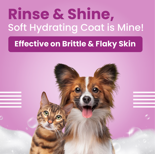 Henlo Chicken Vegetable Baked Adult Dry Food, Bark Out Loud Allergy Itch Relief Shampoo Dogs Combo