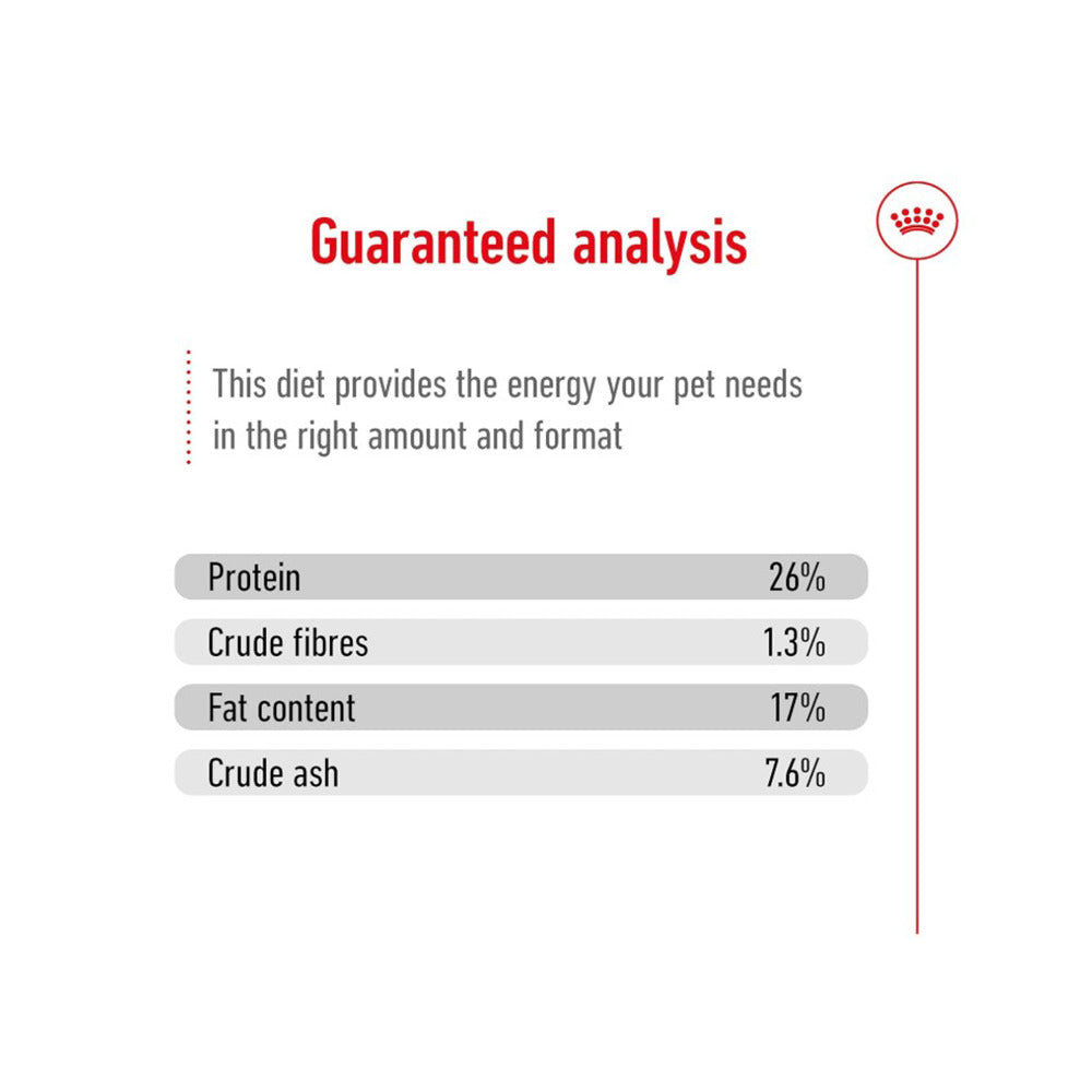 Royal Canin Maxi 5+ years of Age Dogs Dry Food Dogs- Dry Food Royal Canin