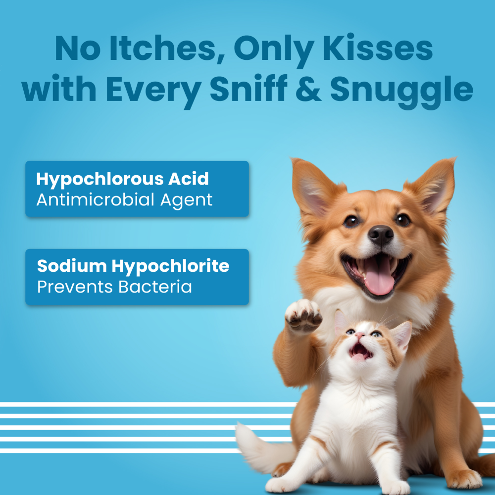 Bark Out Loud Anti Microbial Skin Spray for Dogs and Cats Both-Health & Wellness Bark Out Loud