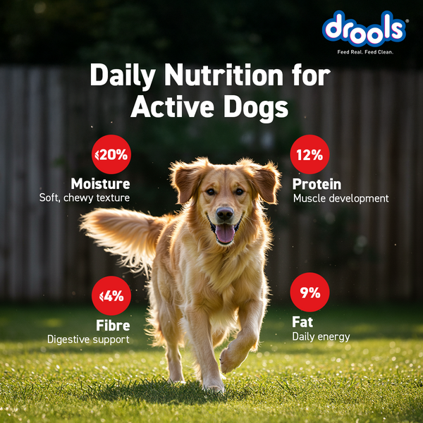 Drools Real Chicken Flavour Sticks Treat for Dogs