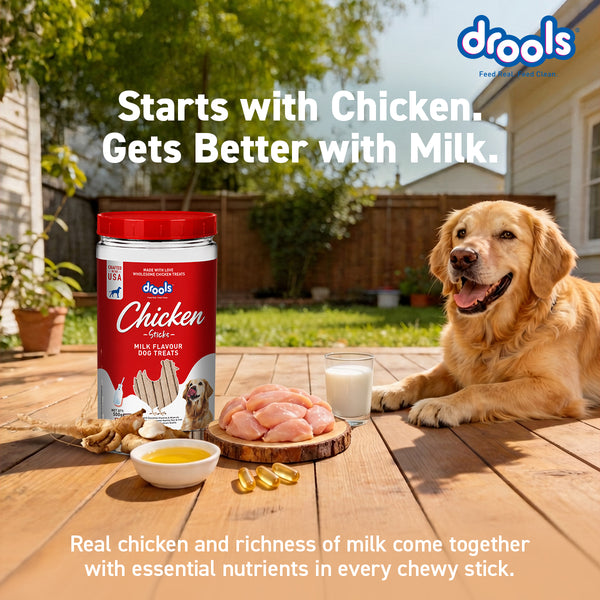 Drools Milk Flavour Chicken Sticks Treat for Dogs