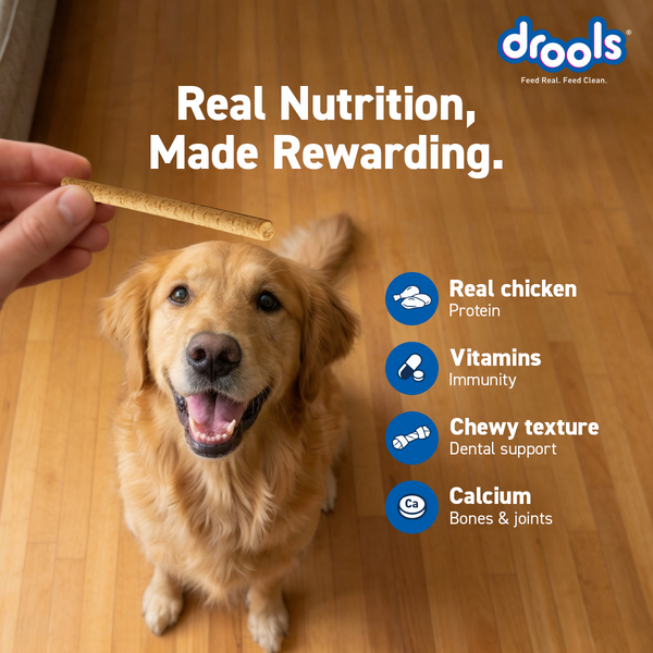 Drools Real Chicken Flavour Sticks Treat for Dogs