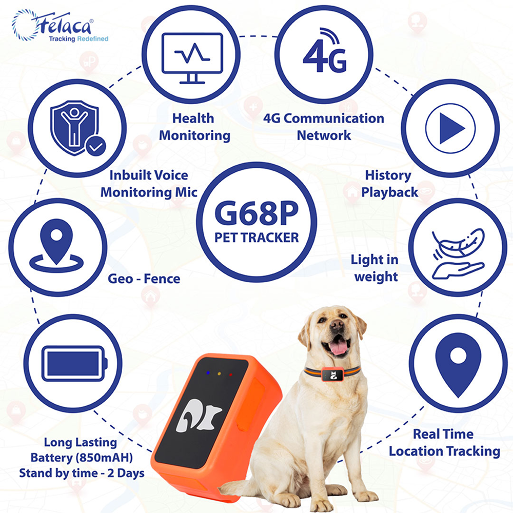 FeTaca Smart 4G GPS Tracker with Lifetime Free Tracking & 1 Year Data SIM Subscription for Dogs and Cats (Orange) Both-Collar, Leashes, harnesses FeTaca Dropship