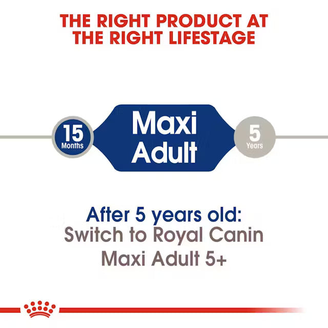 Royal Canin Maxi 5+ years of Age Dogs Dry Food Dogs- Dry Food Royal Canin