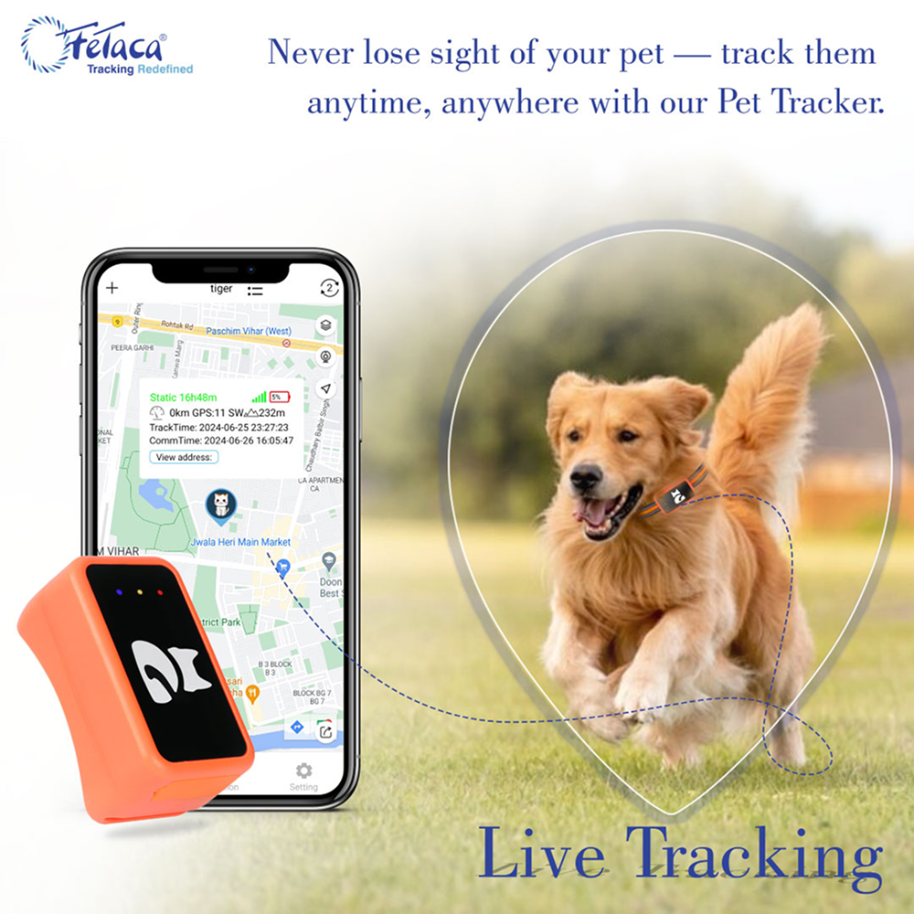 FeTaca Smart 4G GPS Tracker with Lifetime Free Tracking & 1 Year Data SIM Subscription for Dogs and Cats (Orange) Both-Collar, Leashes, harnesses FeTaca Dropship