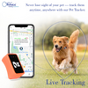 FeTaca Smart 4G GPS Tracker with Lifetime Free Tracking & 1 Year Data SIM Subscription for Dogs and Cats (Orange) Both-Collar, Leashes, harnesses FeTaca Dropship