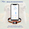 FeTaca Smart 4G GPS Tracker with Lifetime Free Tracking & 1 Year Data SIM Subscription for Dogs and Cats (Orange) Both-Collar, Leashes, harnesses FeTaca Dropship
