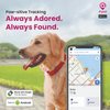 Mitag Go Anti Loss Device with Collar for Small Dogs (Black) | Android Dogs-Collar, Leashes, harnesses Mitag Dropship