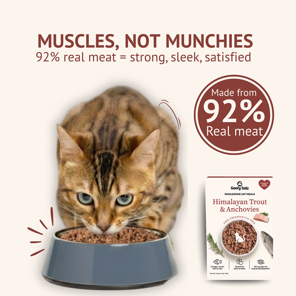 Goofy Tails Mackerel & Chicken  and Himalayan Trout & Anchovies Cat Meals Combo 40g x 4