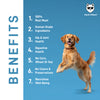 Hachi Wilson Premium Chicken & Veggies with Chunks in Gravy Dog Wet Food Dogs-Wet Food Hachi Wilson