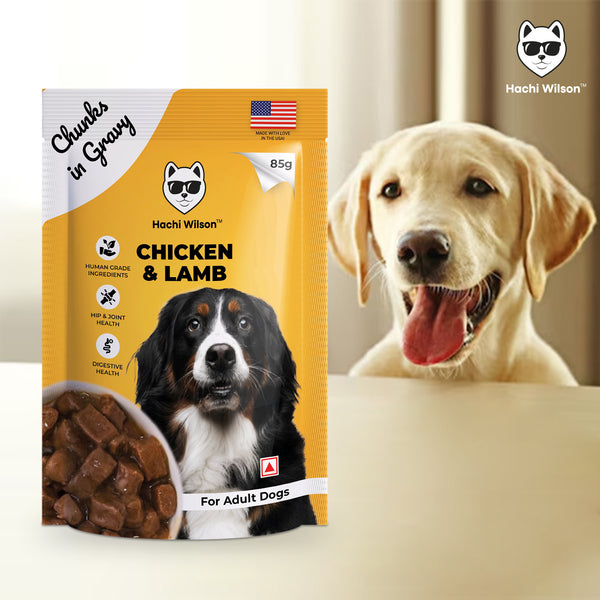 Hachi Wilson Premium Chicken & Lamb with Chunks in Gravy Dog Wet Food
