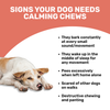Absolut Pet Calming Chews Supplements Relieves Stress & Anxiety for Dogs Cats-Health & Wellness Absolut Pet
