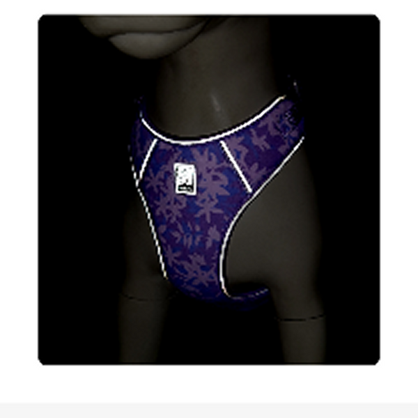 Truelove Ultra Light Harness & Leash Set for Small Dogs (Diva Blue)