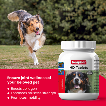 Beaphar HD Hip Dysplasia & Joint Problems Supplement Tablets for Dogs