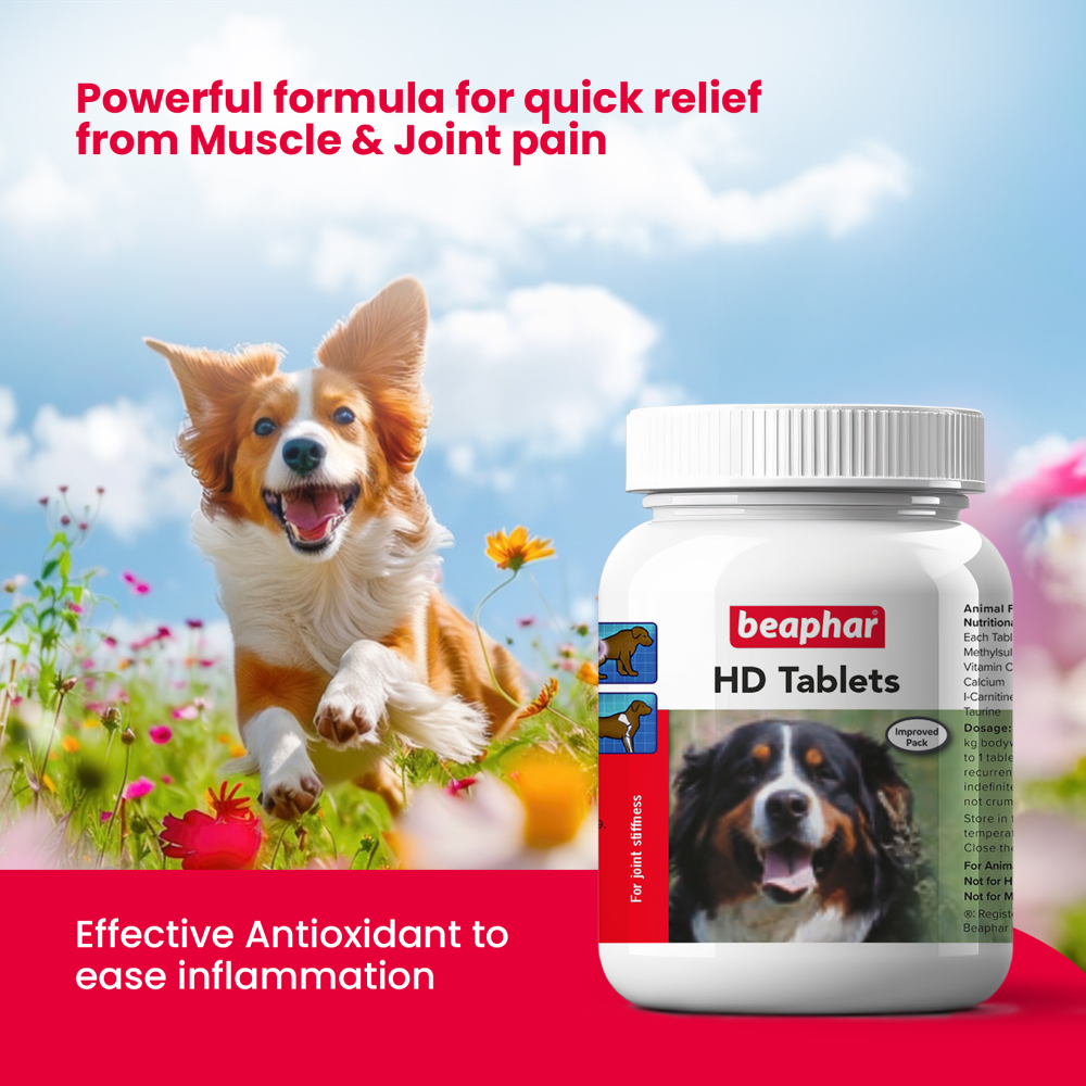 Best vitamins for dogs with hip dysplasia hotsell