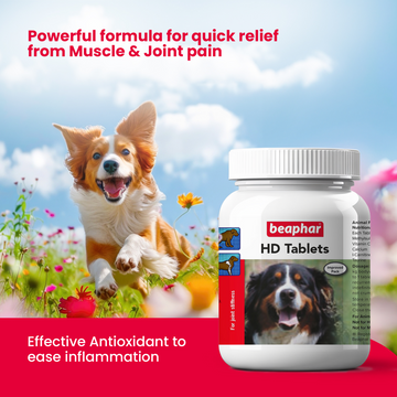 Beaphar HD Hip Dysplasia & Joint Problems Supplement Tablets for Dogs