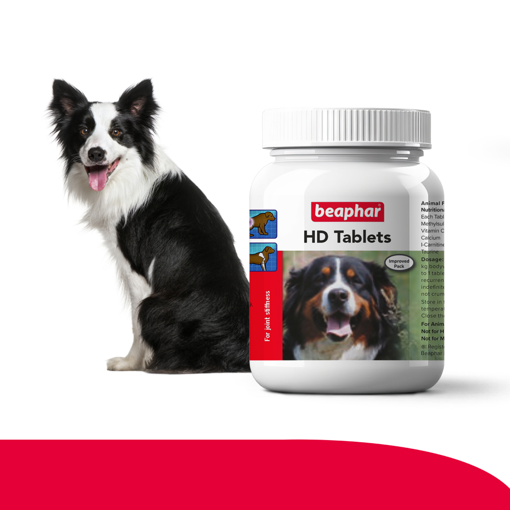 Beaphar joint tablets for dogs hotsell