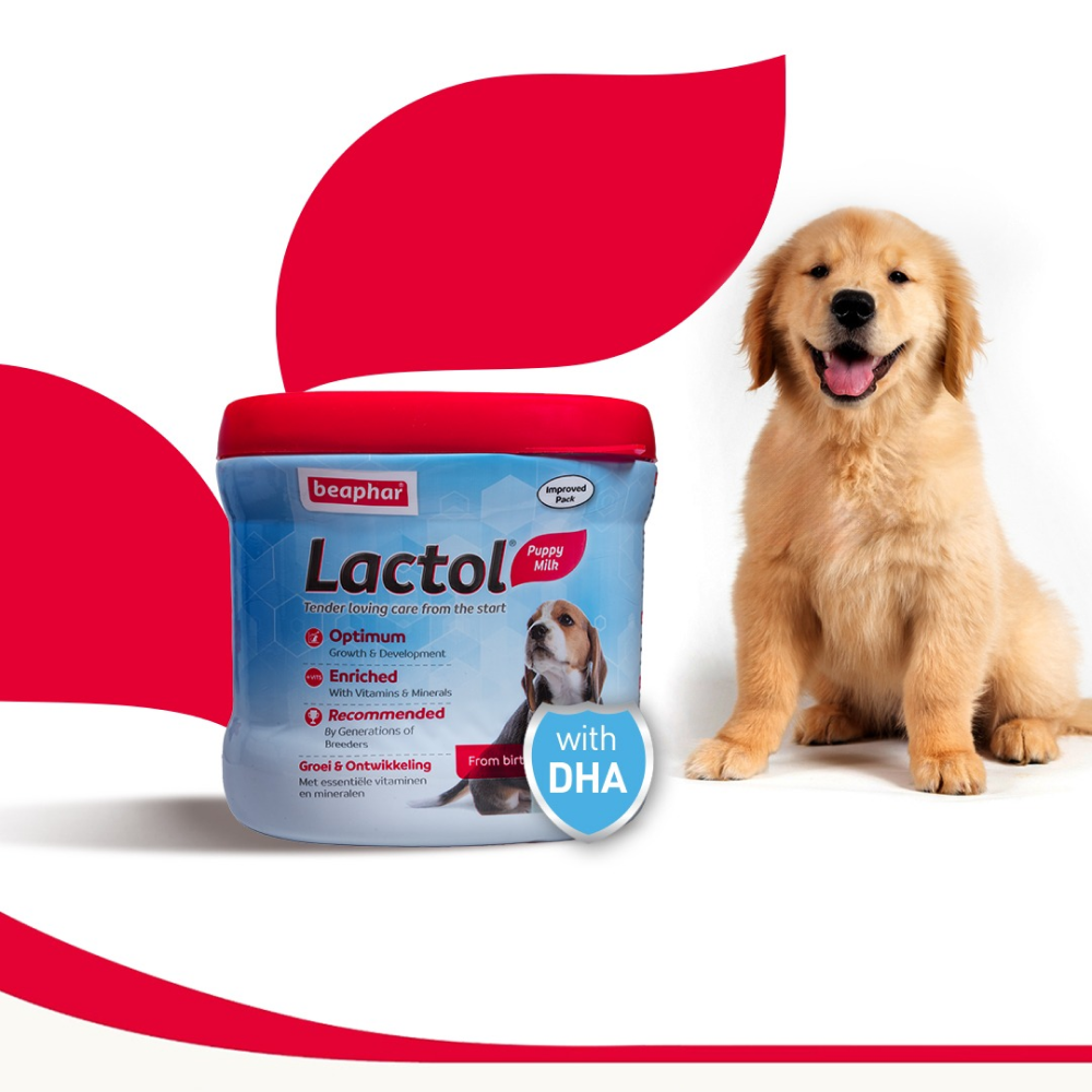 Beaphar Lactol New Born Milk Replacement Powder for Puppies Dogs-Health & Wellness Beaphar