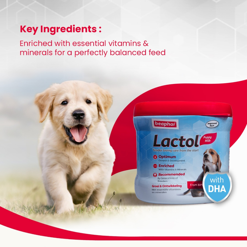 Beaphar Lactol New Born Milk Replacement Powder for Puppies Dogs-Health & Wellness Beaphar