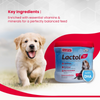 Beaphar Lactol New Born Milk Replacement Powder for Puppies Dogs-Health & Wellness Beaphar